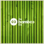 the bamboo link image - 2